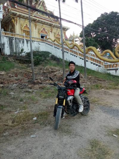 ကျားကြီး 26 ปี Bankai ไทย