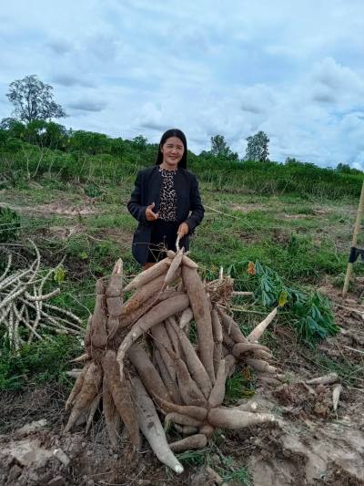 Rin 42 Jahre Amrica  Thailand