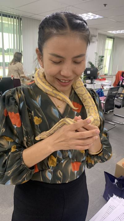Patritha 31 Jahre Bankkok Thailand