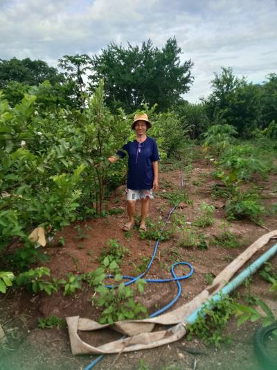 Parneet 57 Jahre Sida District Thailand