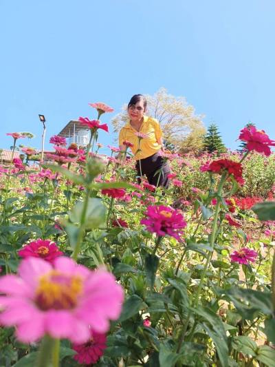 Paricha 47 years Lynne Thailand