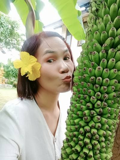Piyawan 47 ans Surin Thaïlande