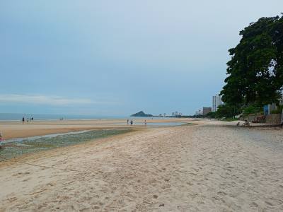beautiful sea