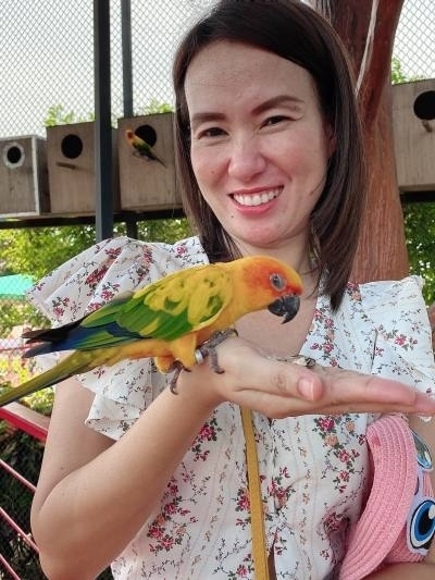 Warissara 41 ans เมือง Thaïlande