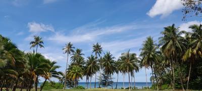 Thip_  21 ans ไทย Thaïlande
