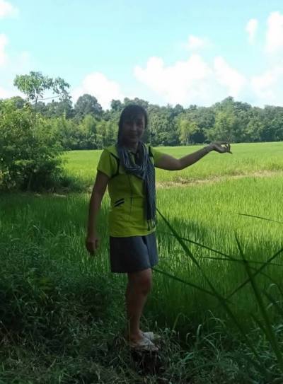 Nuch 56 ans Kalasin Thaïlande